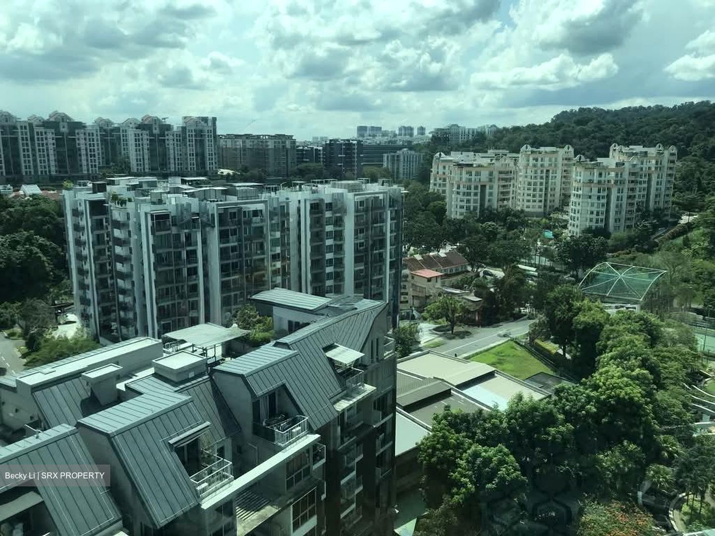 Hillview Regency (D23), Condominium #561172951